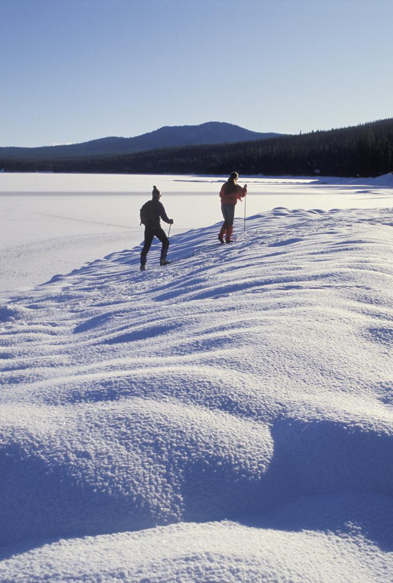Konsekvenser i butikken