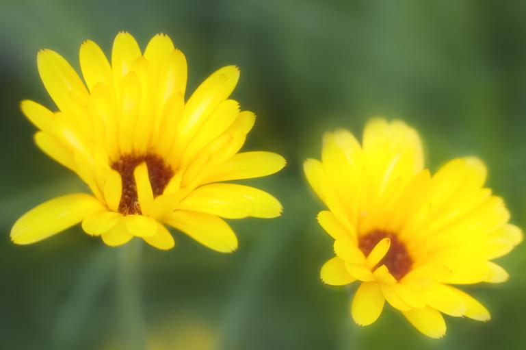 JMS Granit på Sjælland