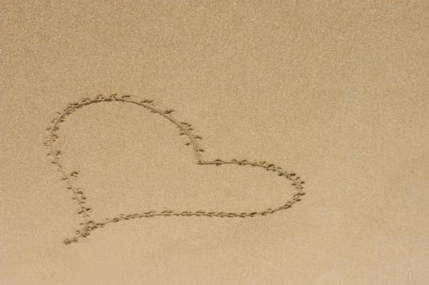 Skov & Stubbs – DET er mad!