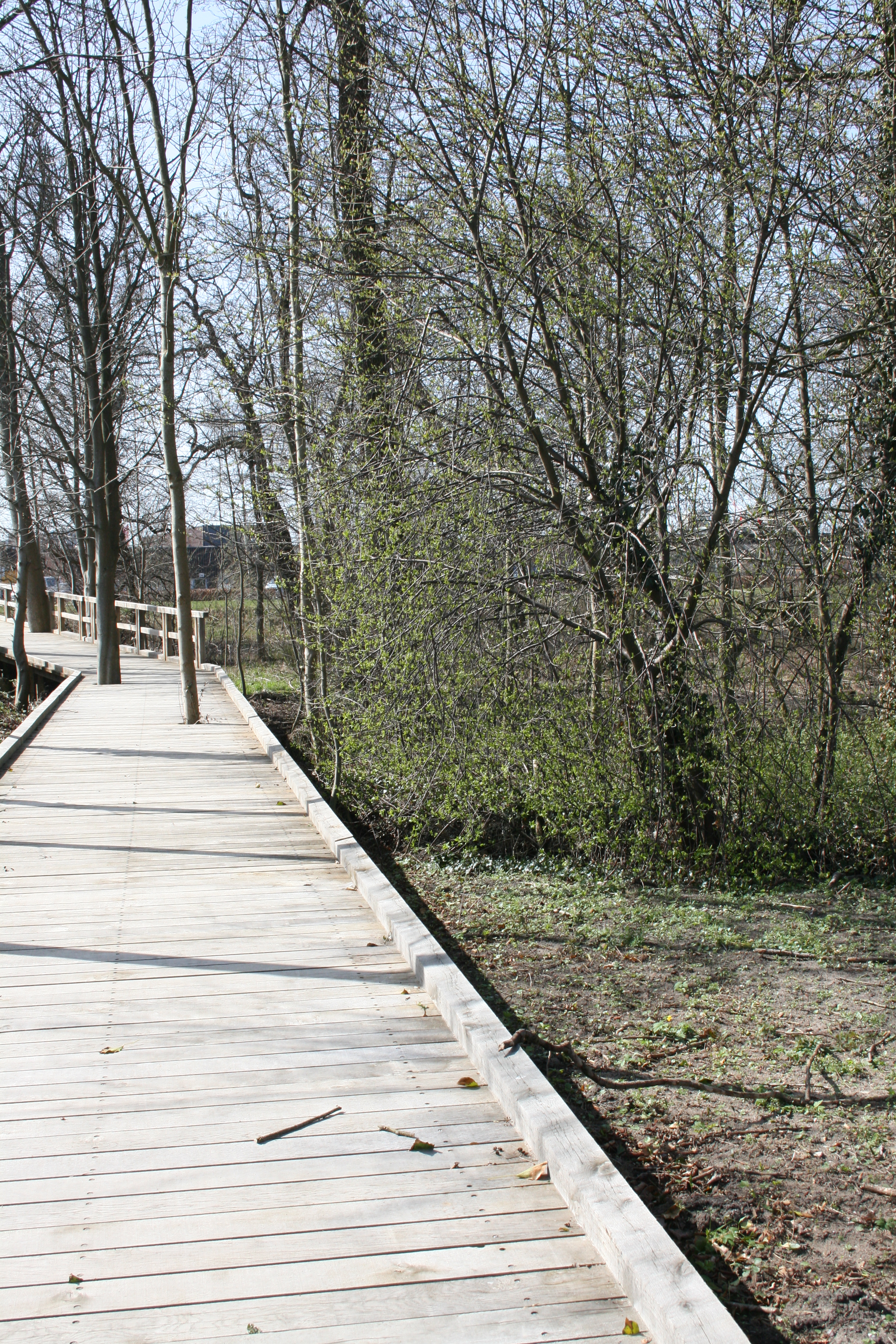 Hvad laver efterskoleelever i vinterferien?