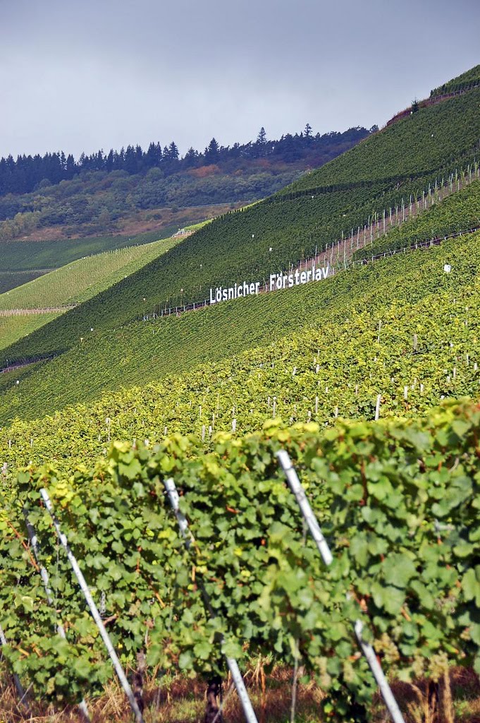 Europa rundt med billeje Billeje