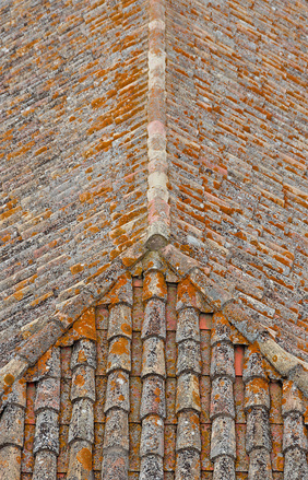 Hvordan håndterer man mos på taget?